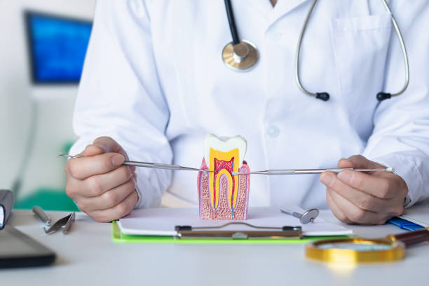 Best Emergency Treatment for Dental Infections or Abscesses in Gladeview, FL